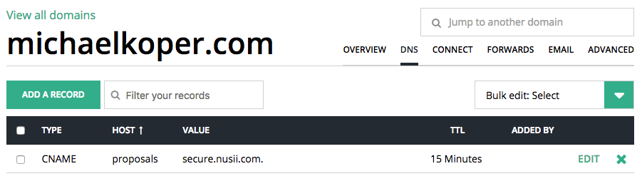 DNS Settings michaelkoper.com