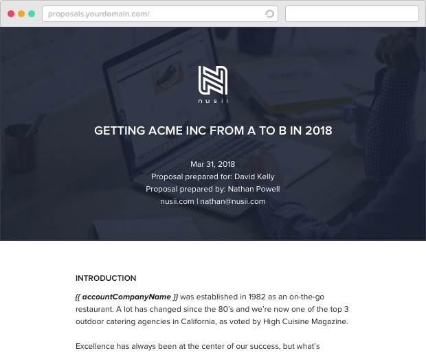 Nusii Consulting Template